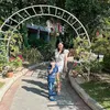 gusjung_anisara