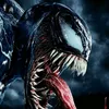 venom4ks