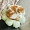 clover_flower_
