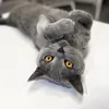 ryysadmn