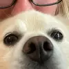 laurenwinfy