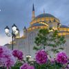 rayan__kurdiye