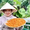 Hằng Cà Mau