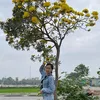 Nguyễn Huế