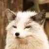 jakefoxuwu