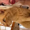 teganlatxx