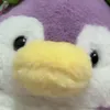 _prairi