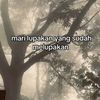 dmynt4