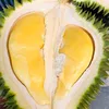 bi.durian