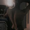 alejandro_lpk