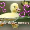 little_ducky_nursery_