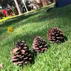 leoanh0209