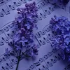 flowerfield.boy
