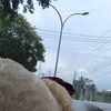 tikantikkk1