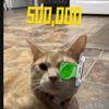 tigger_ogcat