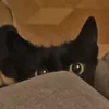 _satunia_