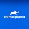 animalplanet