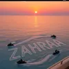 zozo19860