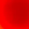 carspoting_06