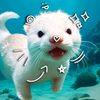 heeheehok