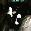 kisulealexisg.com0