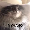 lfk_gm