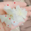 oliarali162