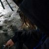 ffshark_28