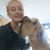 hollywoofs