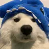 jhondgames19