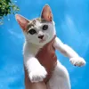 abcdefckyu26_