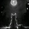 andrey77783