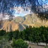 candevazquez07