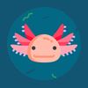 axolotl2100