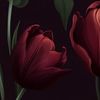 ___shhay