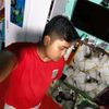 hendra._.09