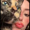 julialaitano