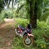 jere.bro1