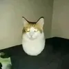 cyrusjulve