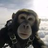 i_like_monkey_in_ski