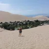 joycewakerman