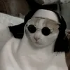 anaaluuh05