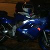 raemflo160475