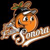 Tacos Estilo Sonora