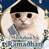 akun_gabutrara2