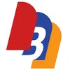 bm13113
