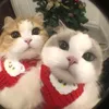 ng_thanhbinh00
