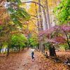hana_1612