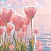 bay_aom4