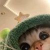 nia_offc023